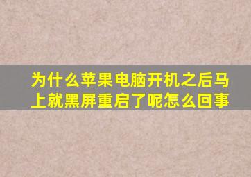 为什么苹果电脑开机之后马上就黑屏重启了呢怎么回事