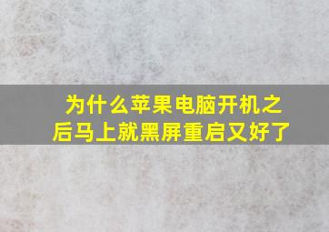 为什么苹果电脑开机之后马上就黑屏重启又好了