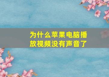 为什么苹果电脑播放视频没有声音了