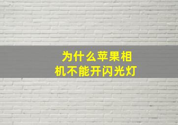 为什么苹果相机不能开闪光灯