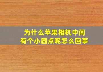 为什么苹果相机中间有个小圆点呢怎么回事