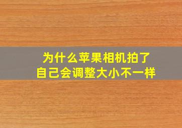 为什么苹果相机拍了自己会调整大小不一样