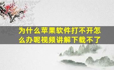 为什么苹果软件打不开怎么办呢视频讲解下载不了