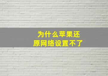 为什么苹果还原网络设置不了