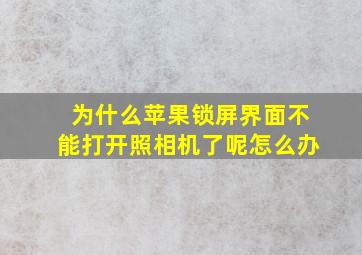 为什么苹果锁屏界面不能打开照相机了呢怎么办