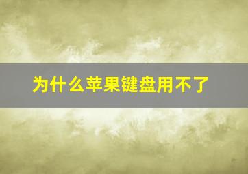 为什么苹果键盘用不了