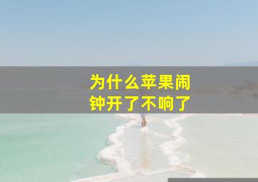 为什么苹果闹钟开了不响了