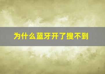 为什么蓝牙开了搜不到