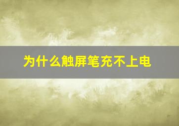 为什么触屏笔充不上电