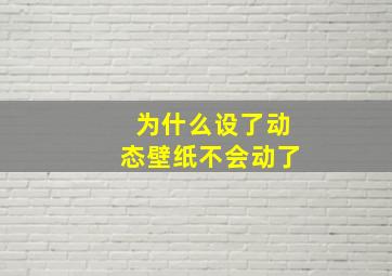 为什么设了动态壁纸不会动了