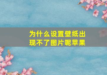 为什么设置壁纸出现不了图片呢苹果