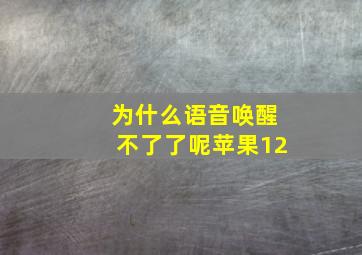 为什么语音唤醒不了了呢苹果12