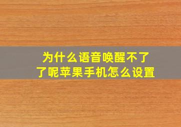 为什么语音唤醒不了了呢苹果手机怎么设置