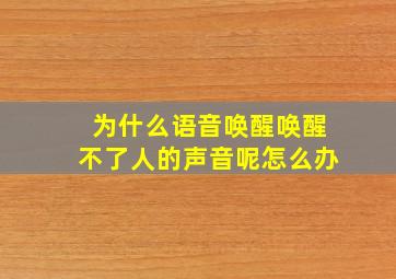 为什么语音唤醒唤醒不了人的声音呢怎么办