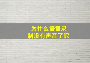 为什么语音录制没有声音了呢