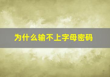 为什么输不上字母密码