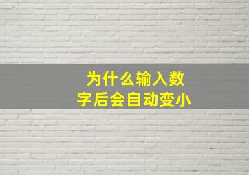 为什么输入数字后会自动变小