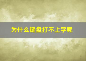 为什么键盘打不上字呢