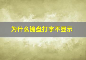 为什么键盘打字不显示