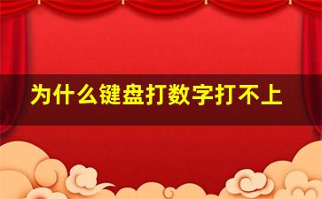 为什么键盘打数字打不上