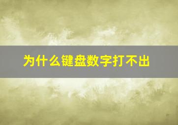 为什么键盘数字打不出