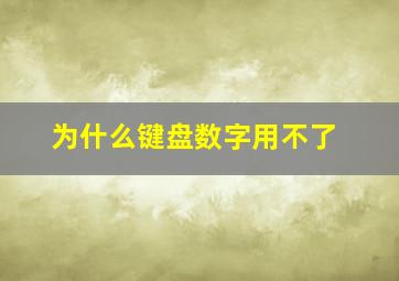 为什么键盘数字用不了