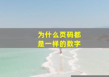 为什么页码都是一样的数字