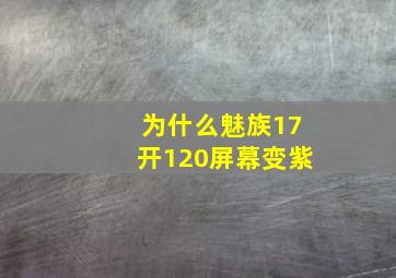 为什么魅族17开120屏幕变紫