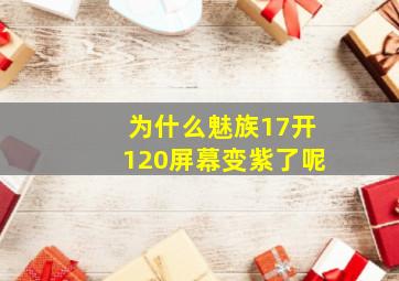 为什么魅族17开120屏幕变紫了呢