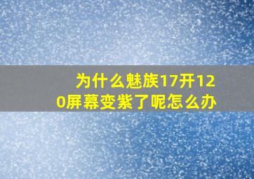 为什么魅族17开120屏幕变紫了呢怎么办