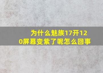 为什么魅族17开120屏幕变紫了呢怎么回事