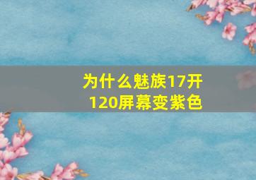 为什么魅族17开120屏幕变紫色