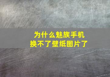 为什么魅族手机换不了壁纸图片了