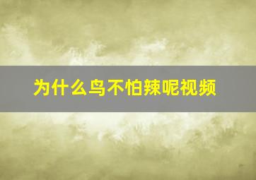 为什么鸟不怕辣呢视频