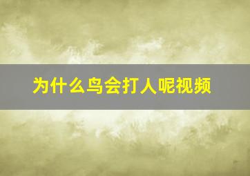 为什么鸟会打人呢视频