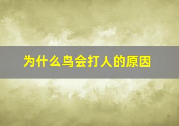 为什么鸟会打人的原因