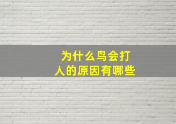 为什么鸟会打人的原因有哪些