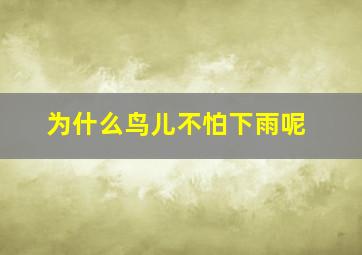 为什么鸟儿不怕下雨呢