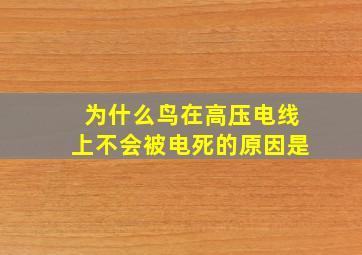 为什么鸟在高压电线上不会被电死的原因是