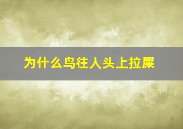 为什么鸟往人头上拉屎