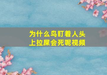 为什么鸟盯着人头上拉屎会死呢视频