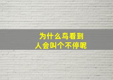 为什么鸟看到人会叫个不停呢