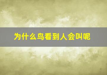 为什么鸟看到人会叫呢