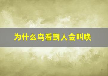 为什么鸟看到人会叫唤