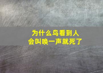 为什么鸟看到人会叫唤一声就死了