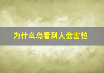 为什么鸟看到人会害怕