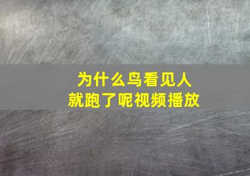 为什么鸟看见人就跑了呢视频播放