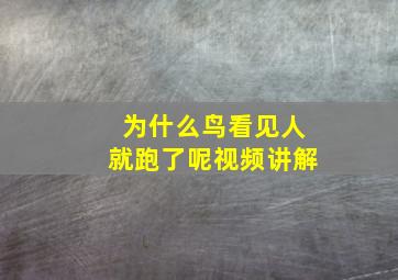 为什么鸟看见人就跑了呢视频讲解