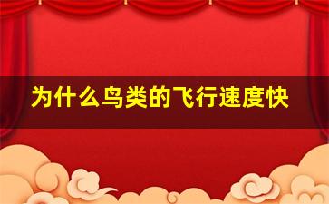 为什么鸟类的飞行速度快