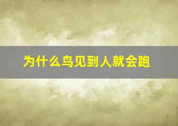 为什么鸟见到人就会跑